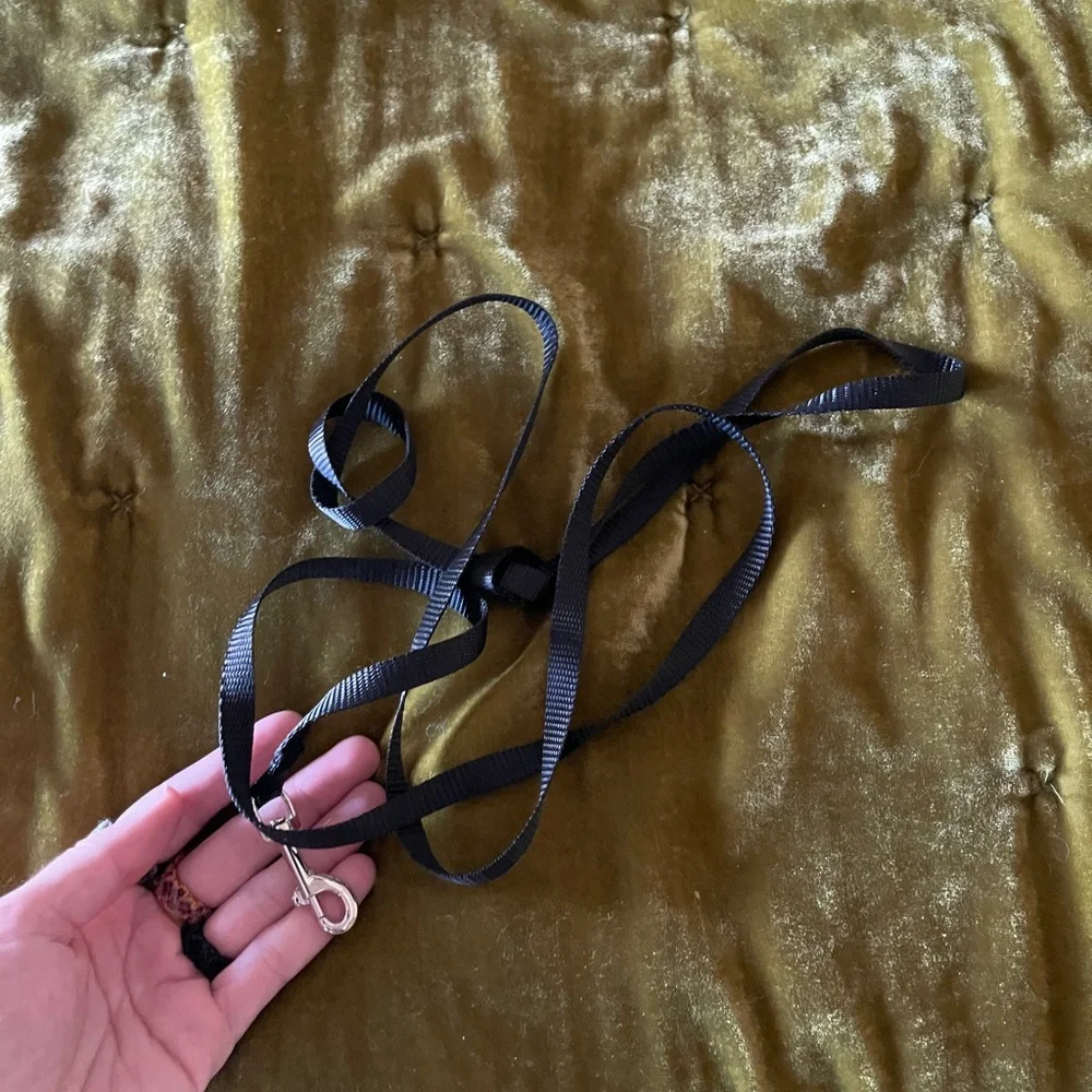 Simple Black Cat Leash New